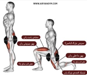 لانگز با دمبل 