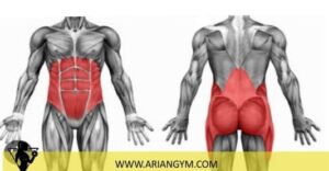 ضعف عضلات در گودی کمر