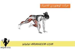 حرکت کوهنوردی کلاسیک