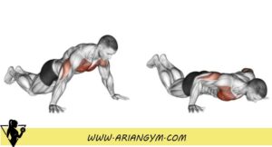 حرکت شتا سوتدی دست باز