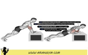 حرکت شنا سوئدی شیب دار