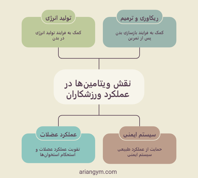 تصویر اینفوگرافیک نقش عملکرد ویتامین برای ورزشکاران
